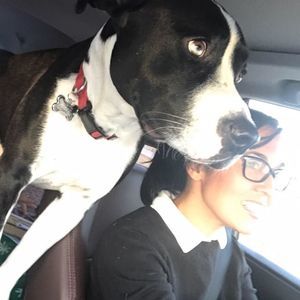 Meet your Posher, Robin